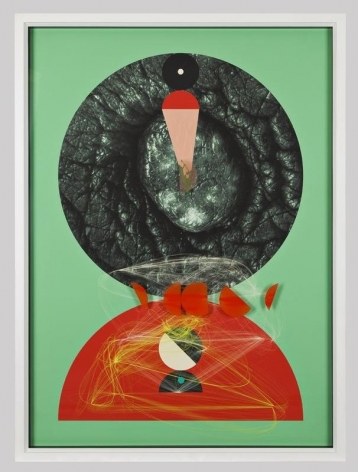Aditya Pande Half Life Form XII 2012 Mixed media on archival paper 45 x 61 in.