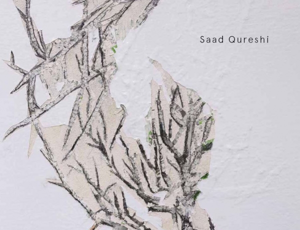 In the Remains | Recent Work by Saad Qureshi